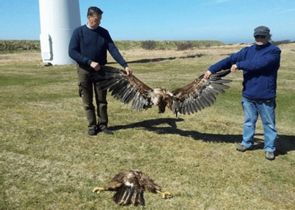 Maths is Hard for the Green-Minded – Quadrant Online 3