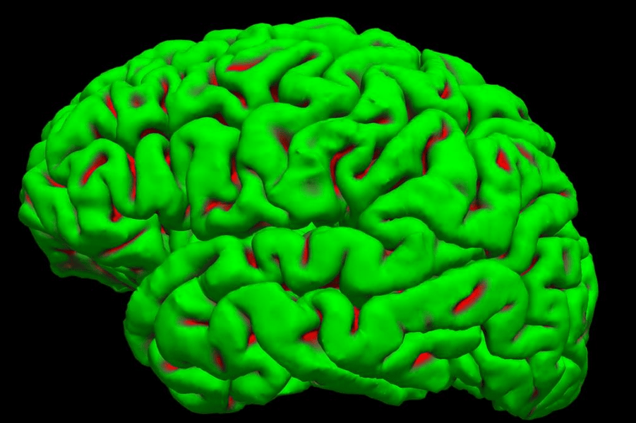 Green Python Brain A Green Kid is a Programmed Kid – Climate Scepticism